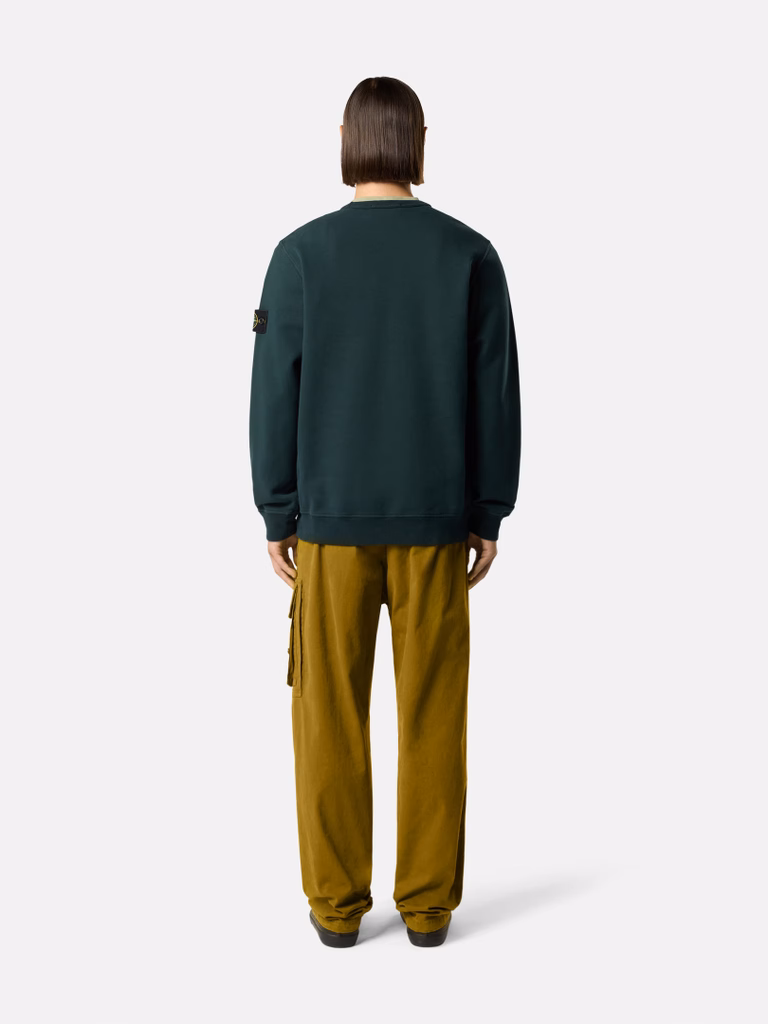 L2S156100060S0051 SWEATSHIRT STONE ISLAND FW26 - DARK GREEN