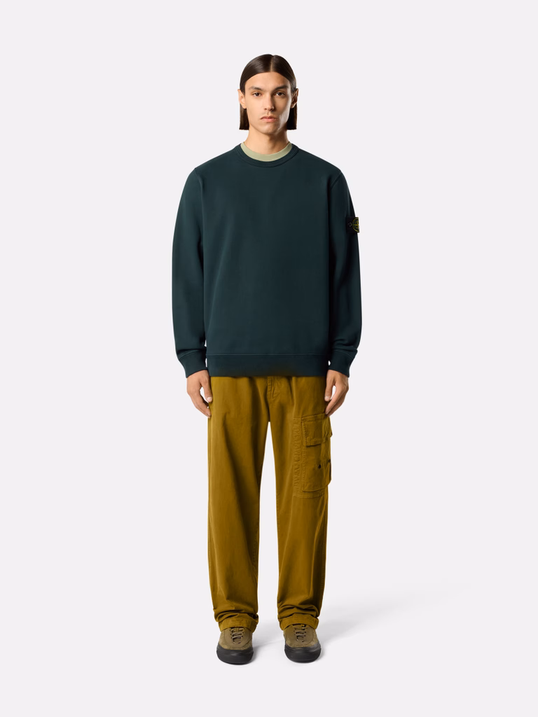 L2S156100060S0051 SWEATSHIRT STONE ISLAND FW26 - DARK GREEN