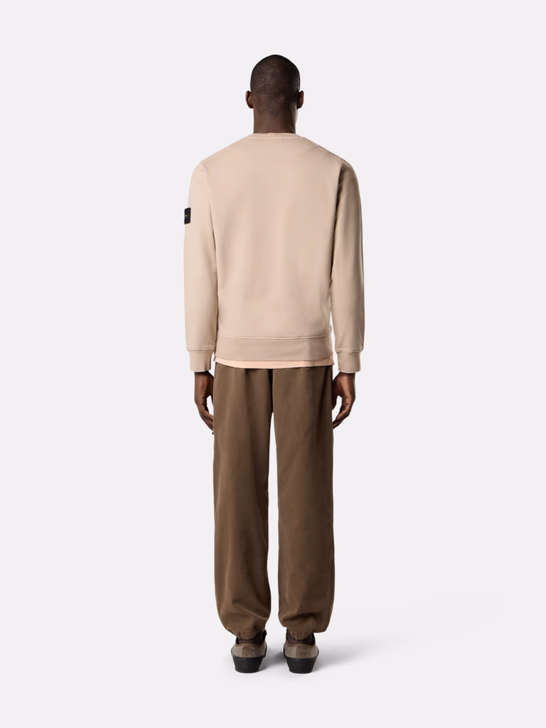 L2S156100062S0051 HOODIE SWEATER STONE ISLAND FW26 - SAND