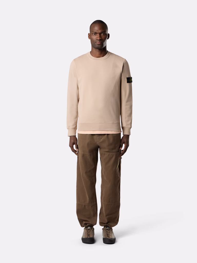 L2S156100062S0051 HOODIE SWEATER STONE ISLAND FW26 - SAND