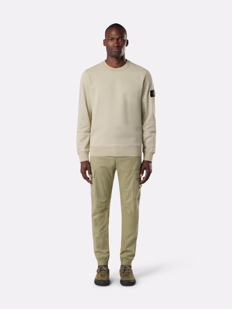 L2S156100060S0051 SWEATSHIRT STONE ISLAND FW26